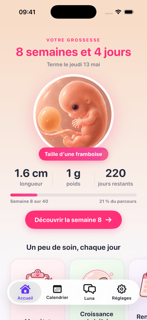 Écran d’accueil grossesse de LineCheck à 8 semaines et 4 jours, avec la taille du bébé, la date d’accouchement et les jours restants