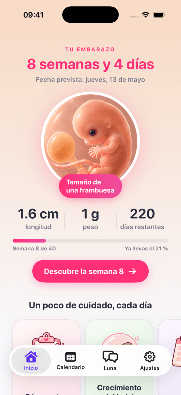 Pantalla de embarazo de LineCheck en la semana 8 y 4 días, con el tamaño del bebé, la fecha probable de parto y los días que faltan